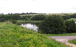 Grodzisko w Zwiniarzu Grodzisko w Zwiniarzu